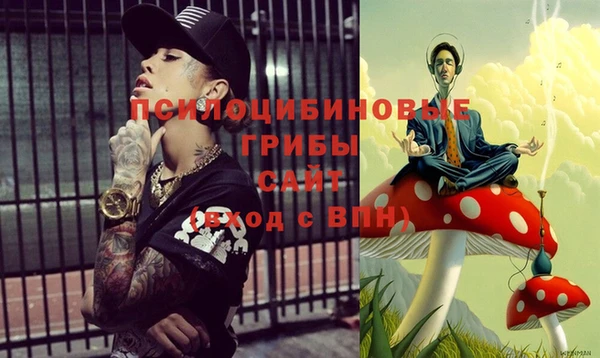 дмт Алексин