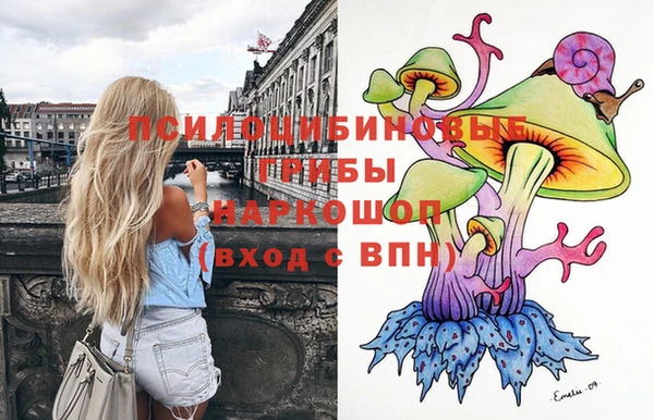 дмт Алексин